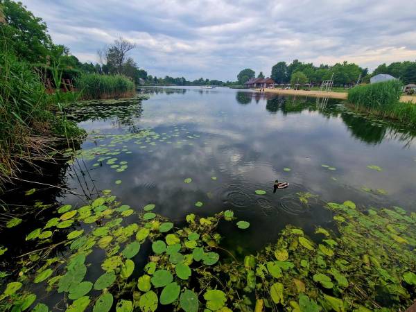 Powiatowy Instytut Kultury