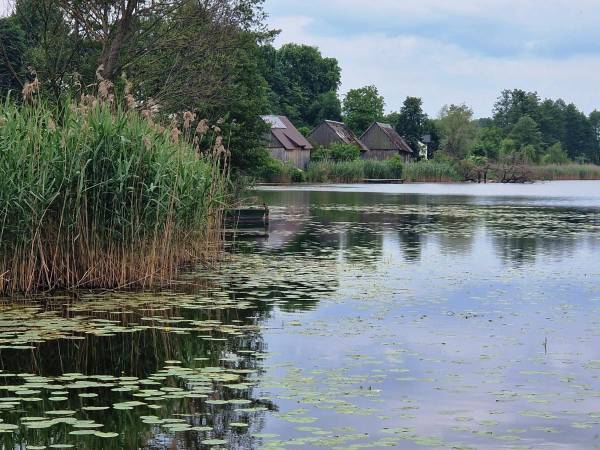 Powiatowy Instytut Kultury