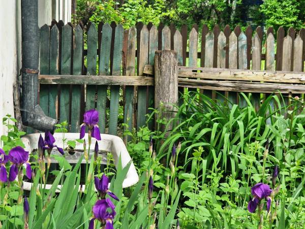 Powiatowy Instytut Kultury