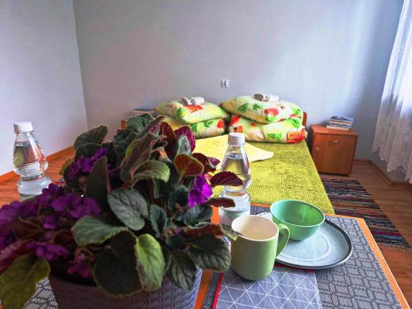 Powiatowy Instytut Kultury