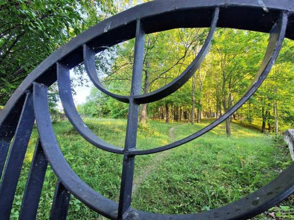 Powiatowy Instytut Kultury