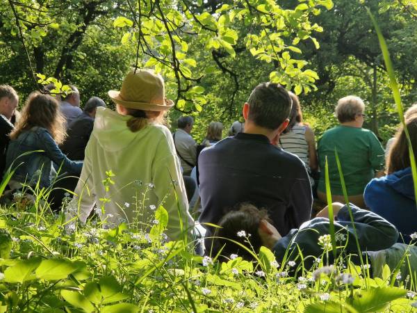 Powiatowy Instytut Kultury