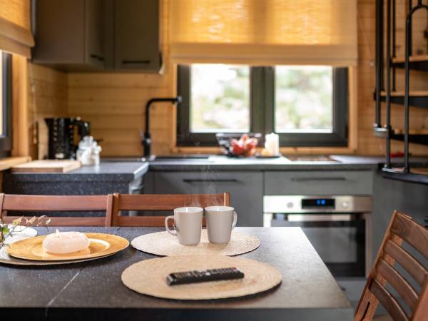 Salon z aneksem kuchennym 