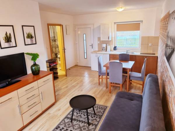 Apartament Nr 3. Salon z aneksem kuchennym.