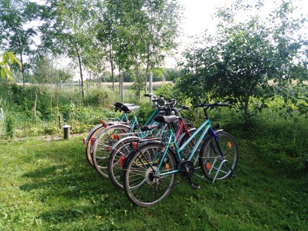 Country House Premium