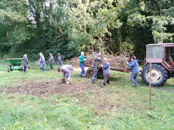 Country House Premium