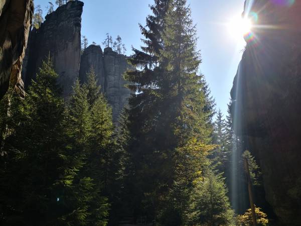 Agroturystyka Zielony Ogród