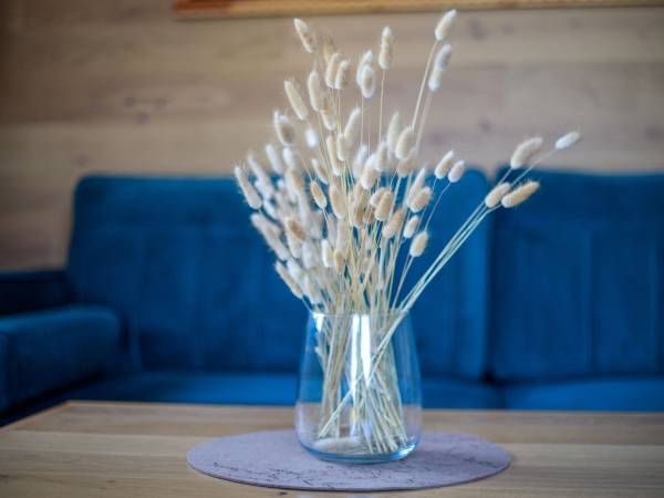 Apartament Mako - Ski