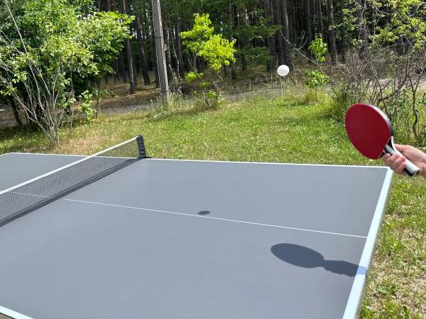Ping Pong - komu kibicujecie?