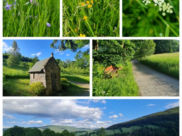 4 Żywioły - jurty w Starej Morawie