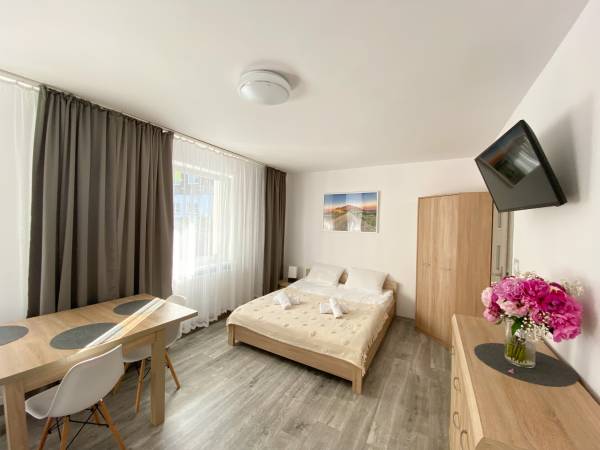 POKÓJ NR 6 Z TARASEM