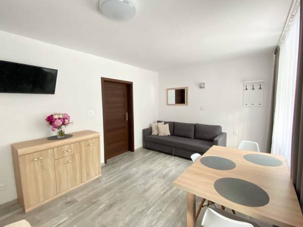 POKÓJ NR 6 Z TARASEM