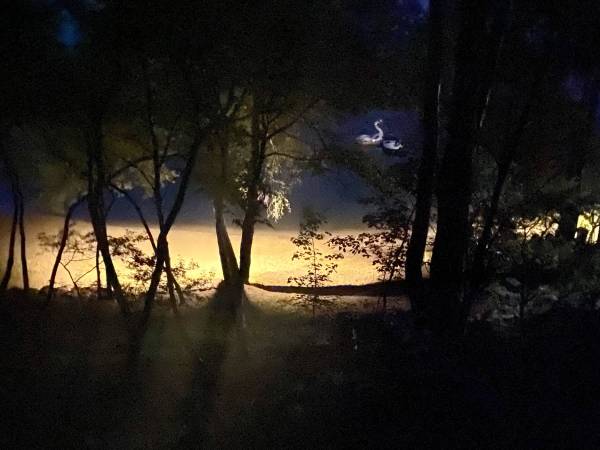 Wpadnij do lasu , domki nad jeziorem 