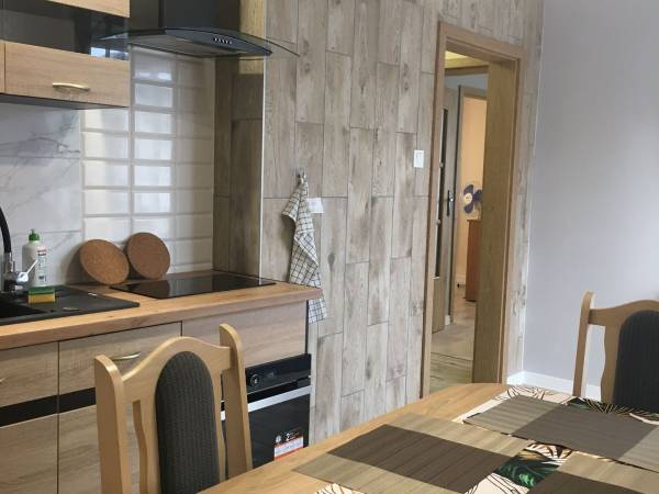 WYNAJEM KWATER WIOLETTA ŚWIĄTEK