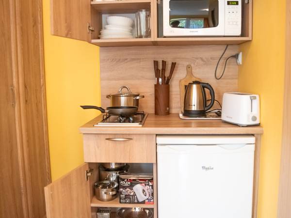 Pokój na dole z tarasem - wyposażenie aneksu kuchennego