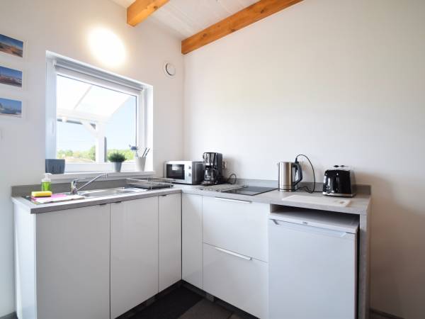 Aneks kuchenny (lodówka, płyta grzewcza, czajnik, mikrofala, ekspres przelewowy, toster)