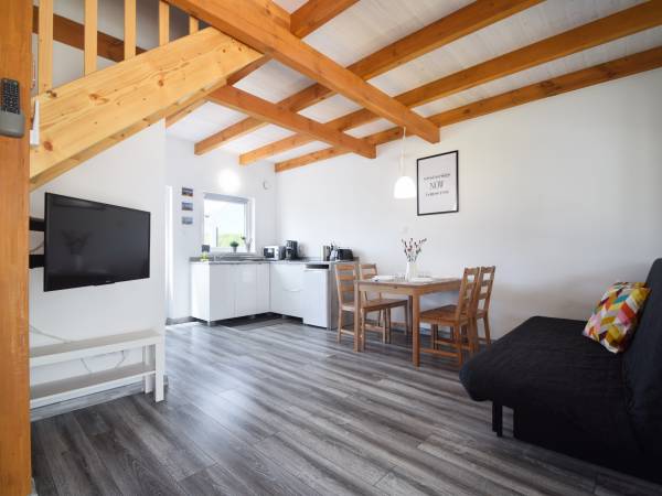 Salon z aneksem kuchennym