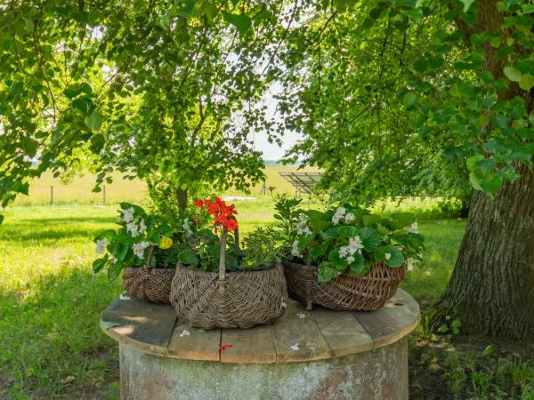 Wiejskie podwórze Ekologiczne gospodarstwo agroturystyczne