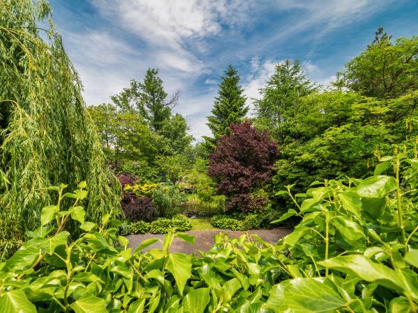Pokoje i Apartamenty Aneta