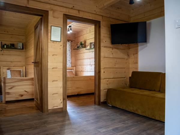 Salon w apartamencie dolnym Polana