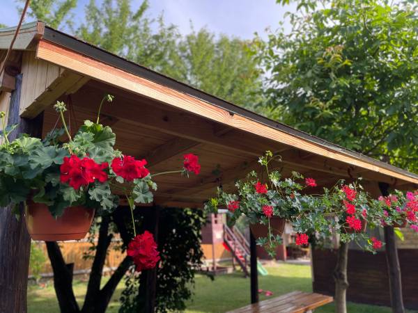 Agroturystyka Józefów