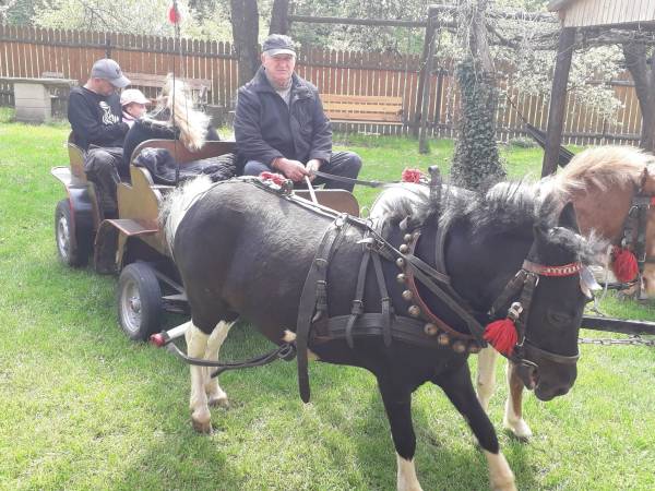 Agroturystyka Józefów