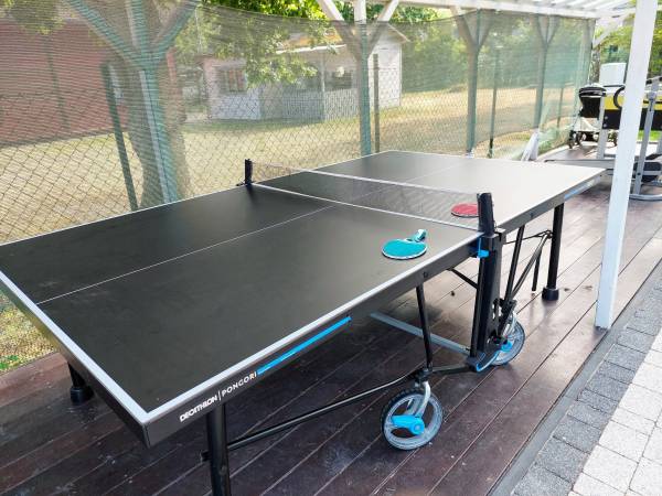 Tenis stołowy