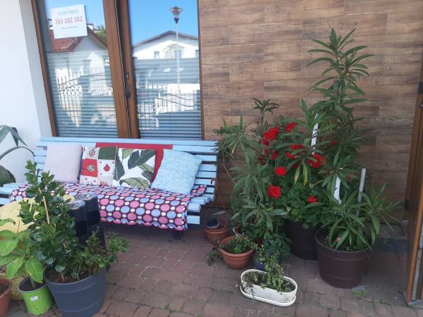 Pokoje Gościnne Zbynio