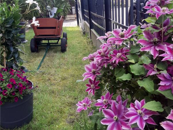 Pokoje Gościnne Zbynio