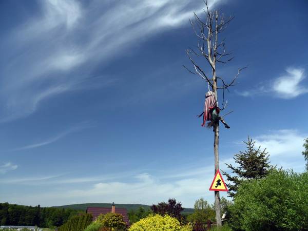 Siedlisko Carownica Family & Wellness