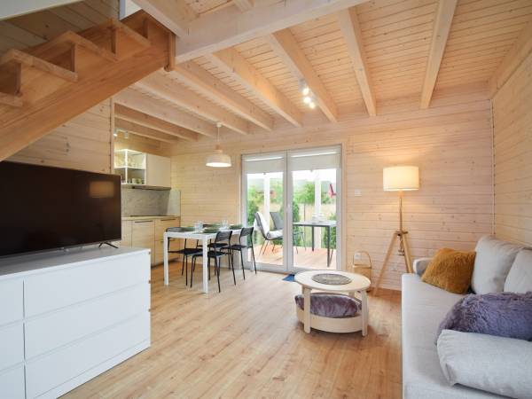 pokój dzienny z aneksem kuchennym