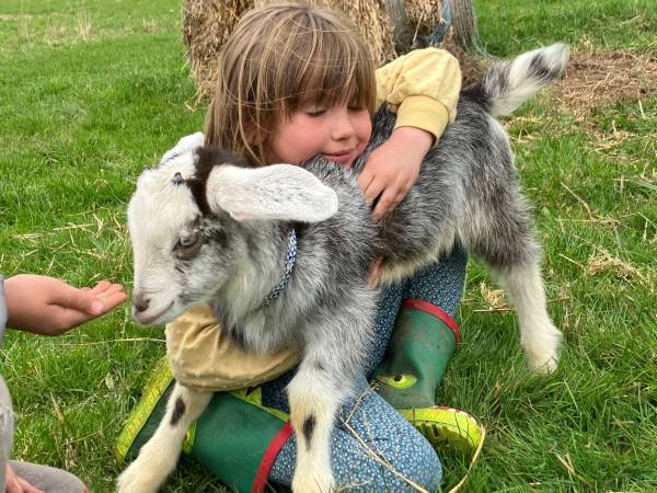 mamy obok 4 kózki..