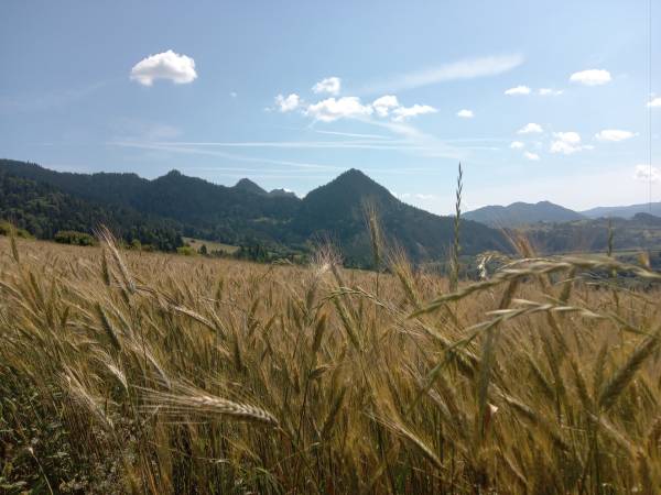 Agroturystyka Pod Zamczyskiem 