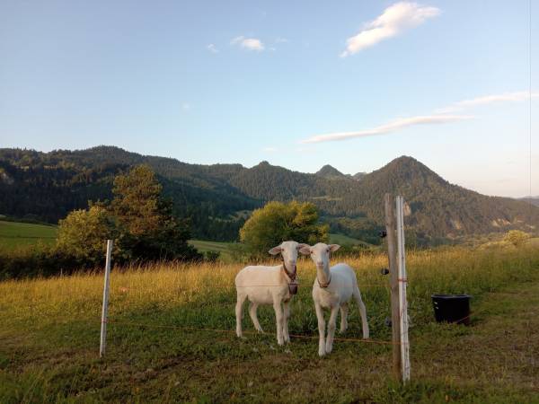 Agroturystyka Pod Zamczyskiem 