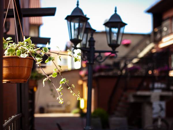 Hortensjowy Zakątek