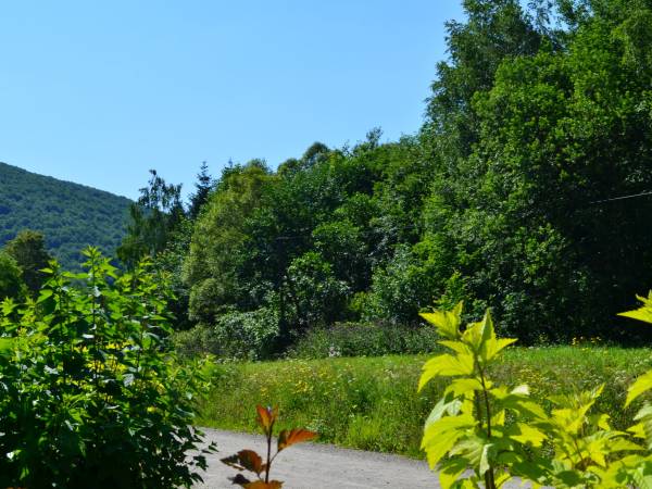  widok z budynku na rezerwat Moczarne 