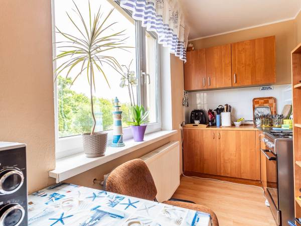 Aneks kuchenny wspólny