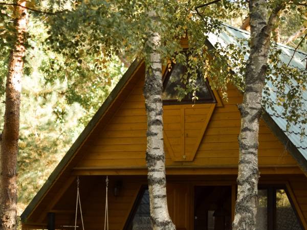 Agroturystyka Trzy Dęby Sasino