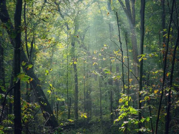 Agroturystyka Trzy Dęby Sasino