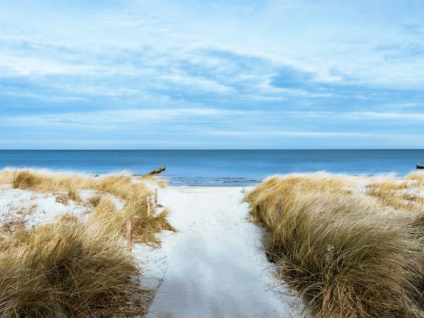 Agroturystyka Trzy Dęby Sasino