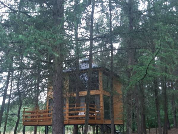 Wood Land Liswarta domki w koronach drzew