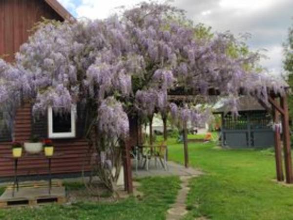 Domki i Pokoje U Pawła