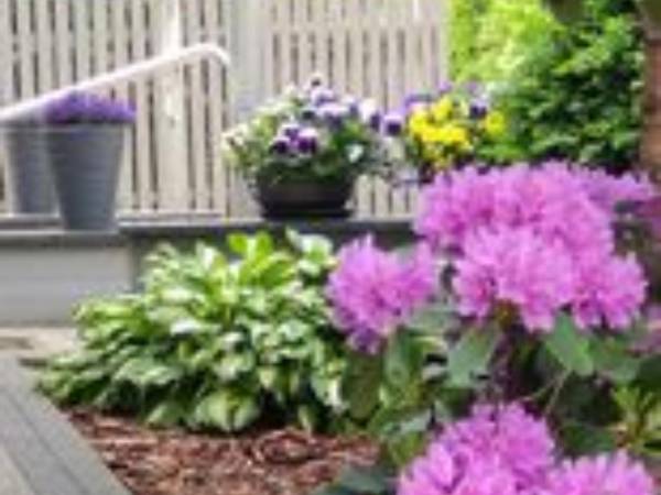 Domki i Pokoje U Pawła