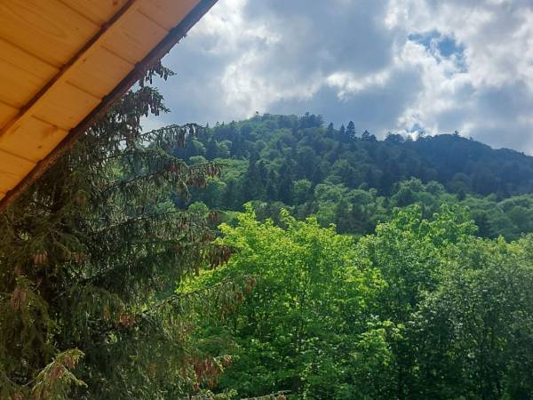 BRATNIA BYSTRE - Domy z bala z jacuzzi i sauna