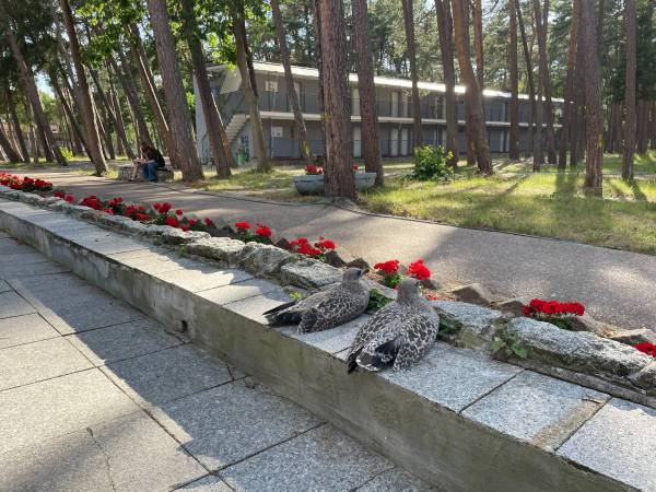 Ośrodek Wypoczynkowy Neptun