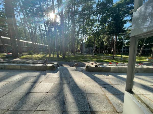 Ośrodek Wypoczynkowy Neptun