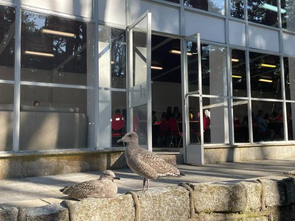 Ośrodek Wypoczynkowy Neptun