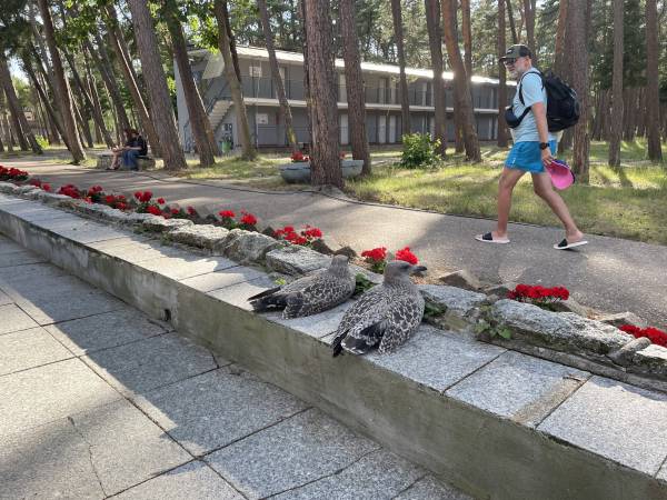 Ośrodek Wypoczynkowy Neptun