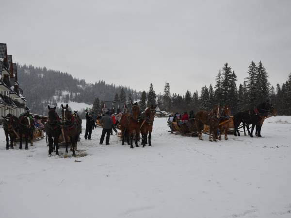 Gościniec u Szostaków