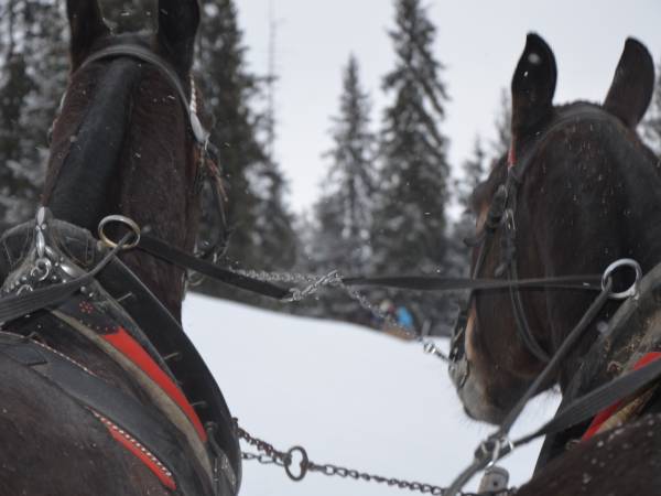Gościniec u Szostaków